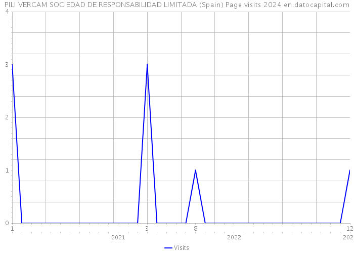 PILI VERCAM SOCIEDAD DE RESPONSABILIDAD LIMITADA (Spain) Page visits 2024 