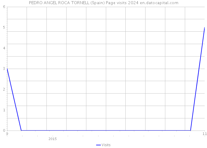 PEDRO ANGEL ROCA TORNELL (Spain) Page visits 2024 