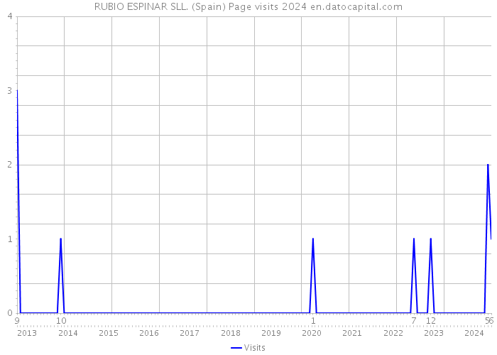 RUBIO ESPINAR SLL. (Spain) Page visits 2024 