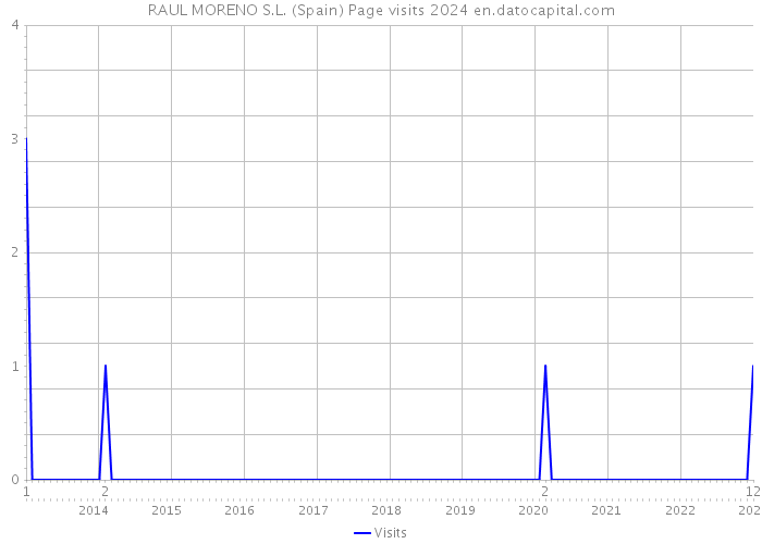 RAUL MORENO S.L. (Spain) Page visits 2024 