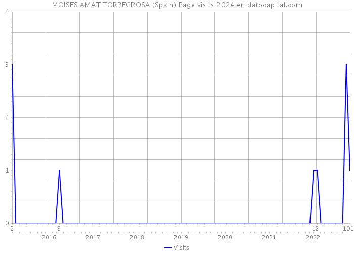 MOISES AMAT TORREGROSA (Spain) Page visits 2024 