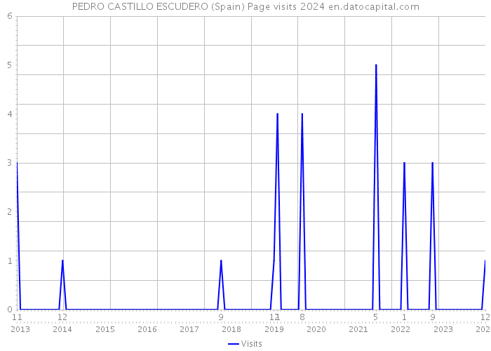 PEDRO CASTILLO ESCUDERO (Spain) Page visits 2024 