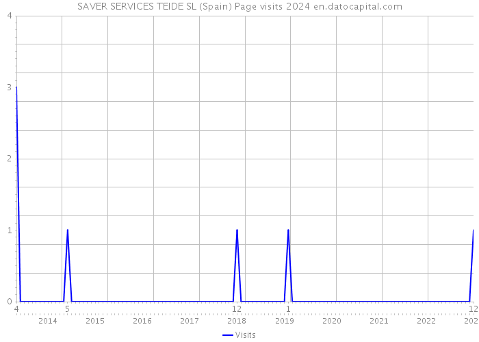 SAVER SERVICES TEIDE SL (Spain) Page visits 2024 