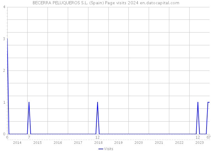 BECERRA PELUQUEROS S.L. (Spain) Page visits 2024 