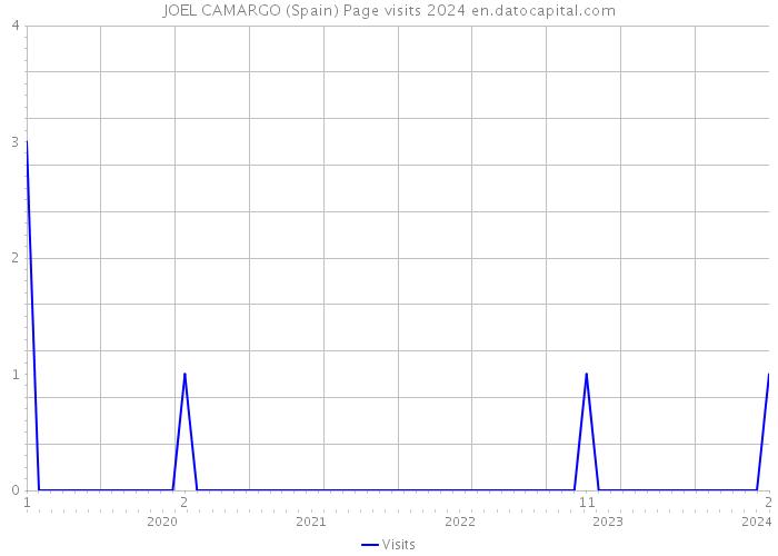 JOEL CAMARGO (Spain) Page visits 2024 
