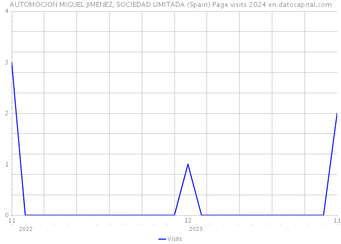 AUTOMOCION MIGUEL JIMENEZ, SOCIEDAD LIMITADA (Spain) Page visits 2024 