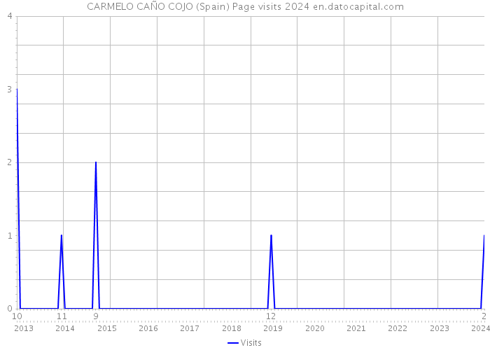 CARMELO CAÑO COJO (Spain) Page visits 2024 