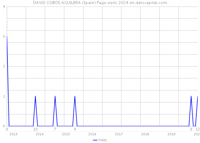 DAVID COBOS AGUILERA (Spain) Page visits 2024 