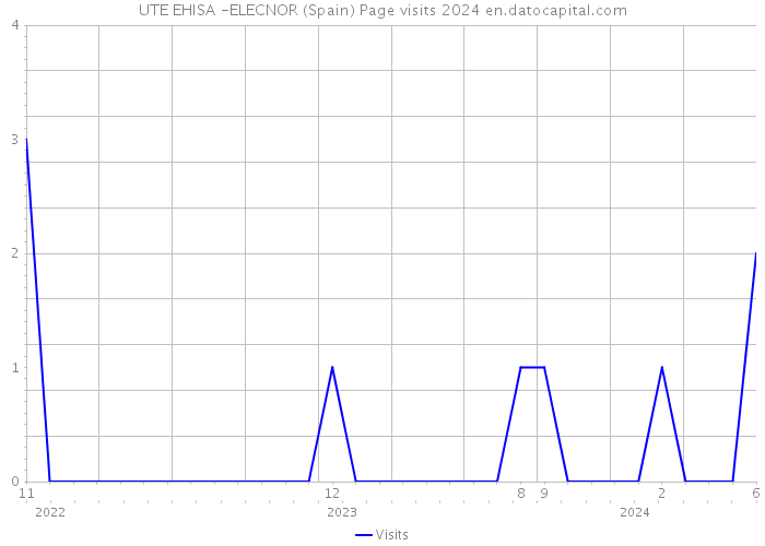 UTE EHISA -ELECNOR (Spain) Page visits 2024 