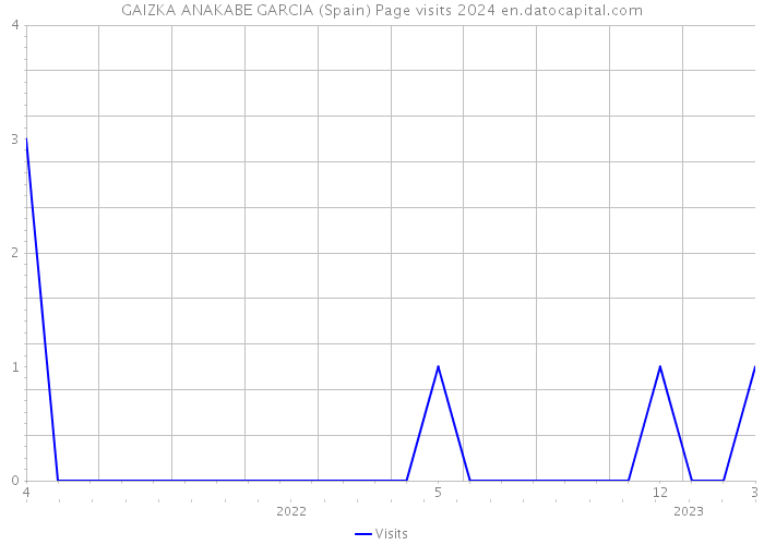 GAIZKA ANAKABE GARCIA (Spain) Page visits 2024 