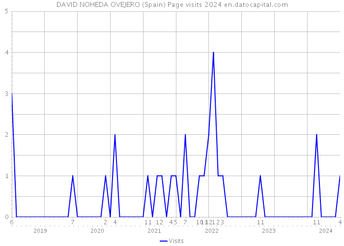 DAVID NOHEDA OVEJERO (Spain) Page visits 2024 