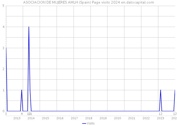 ASOCIACION DE MUJERES AMLH (Spain) Page visits 2024 