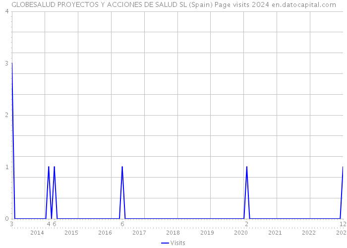GLOBESALUD PROYECTOS Y ACCIONES DE SALUD SL (Spain) Page visits 2024 