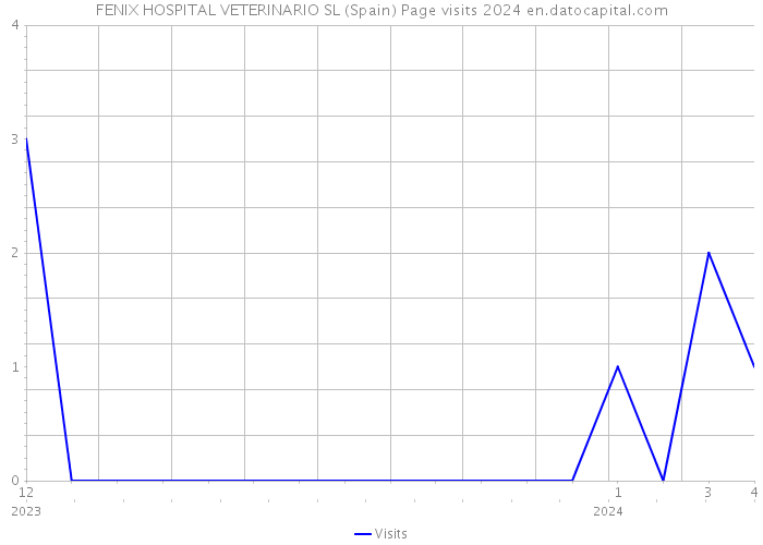 FENIX HOSPITAL VETERINARIO SL (Spain) Page visits 2024 