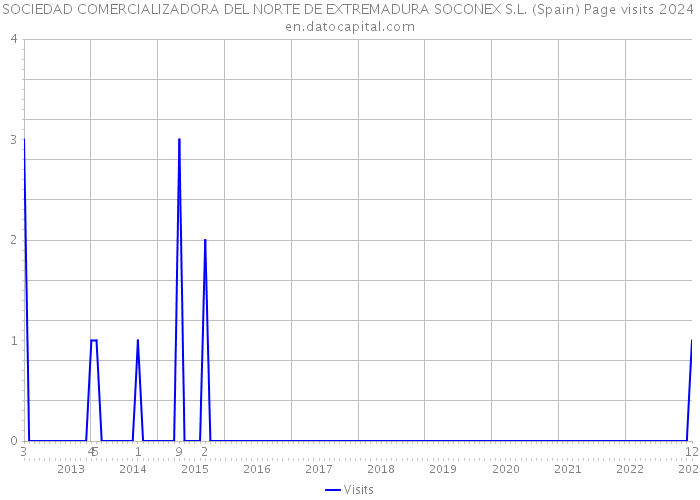 SOCIEDAD COMERCIALIZADORA DEL NORTE DE EXTREMADURA SOCONEX S.L. (Spain) Page visits 2024 