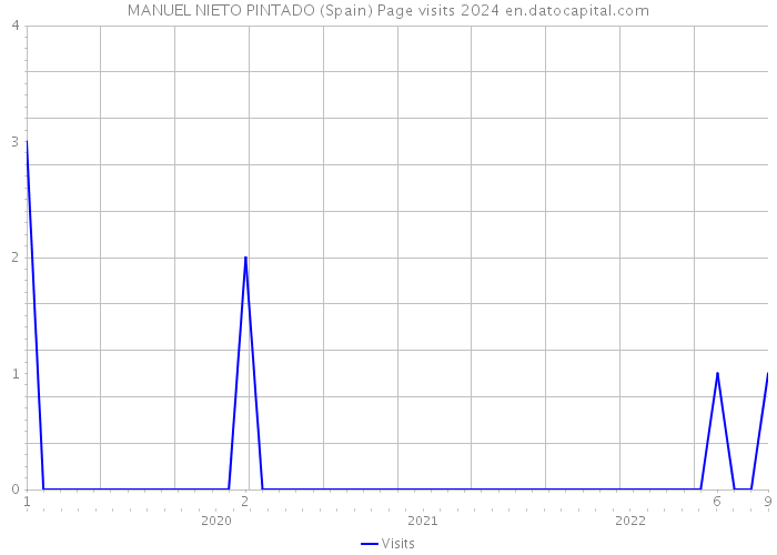 MANUEL NIETO PINTADO (Spain) Page visits 2024 