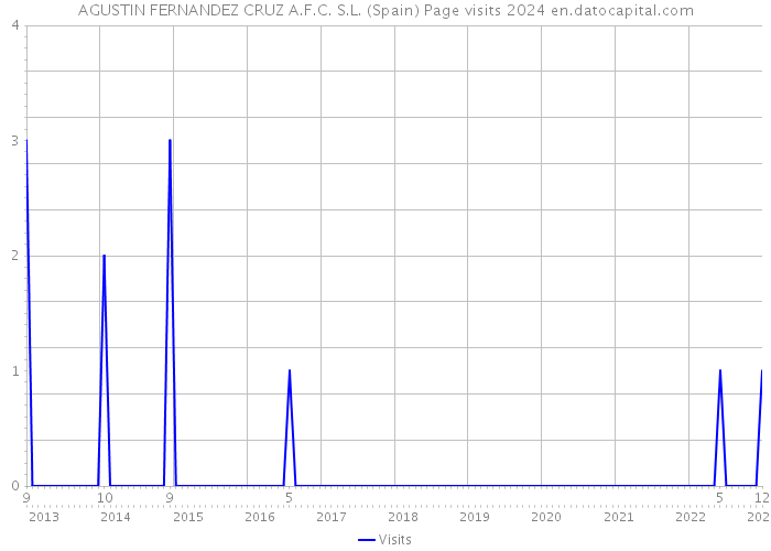 AGUSTIN FERNANDEZ CRUZ A.F.C. S.L. (Spain) Page visits 2024 