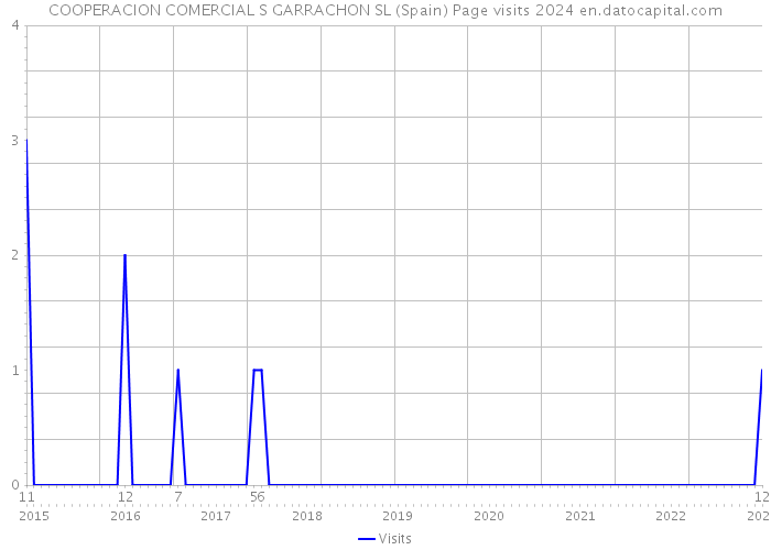 COOPERACION COMERCIAL S GARRACHON SL (Spain) Page visits 2024 