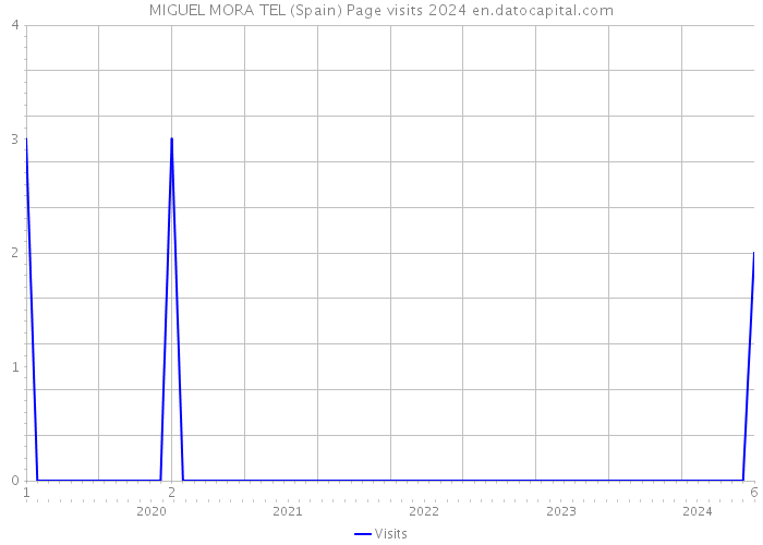 MIGUEL MORA TEL (Spain) Page visits 2024 
