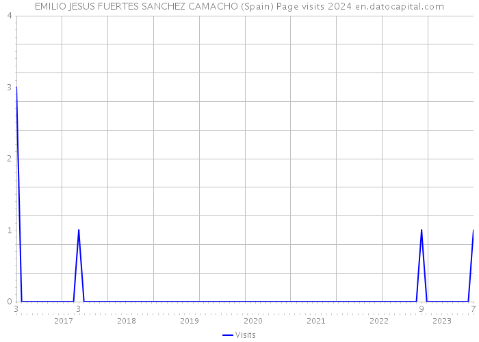 EMILIO JESUS FUERTES SANCHEZ CAMACHO (Spain) Page visits 2024 