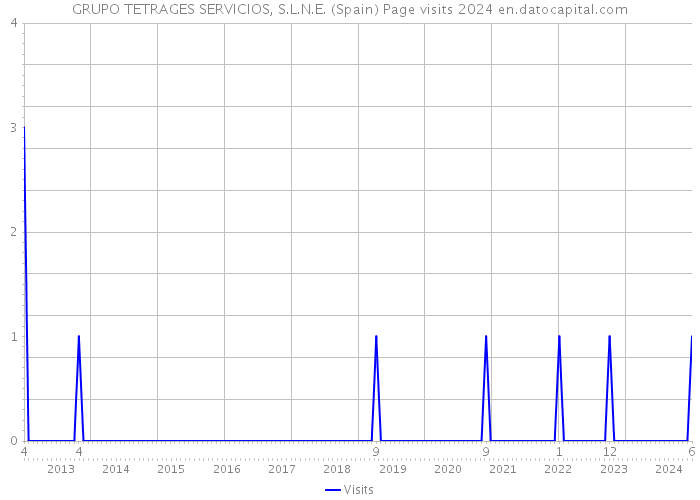 GRUPO TETRAGES SERVICIOS, S.L.N.E. (Spain) Page visits 2024 