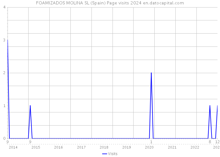 FOAMIZADOS MOLINA SL (Spain) Page visits 2024 