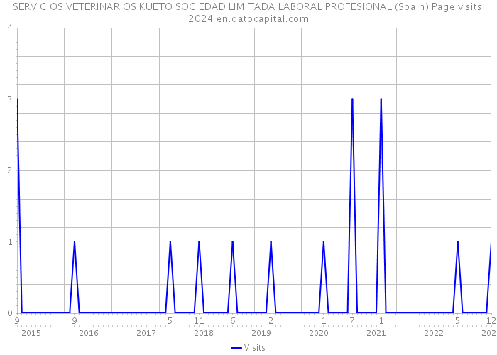 SERVICIOS VETERINARIOS KUETO SOCIEDAD LIMITADA LABORAL PROFESIONAL (Spain) Page visits 2024 