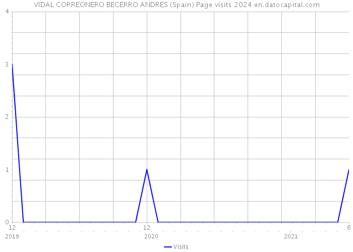 VIDAL CORREONERO BECERRO ANDRES (Spain) Page visits 2024 