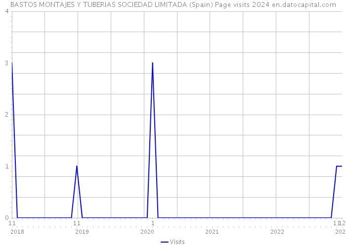 BASTOS MONTAJES Y TUBERIAS SOCIEDAD LIMITADA (Spain) Page visits 2024 