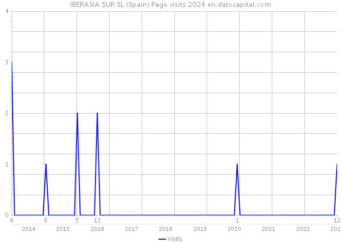 IBERASIA SUR SL (Spain) Page visits 2024 