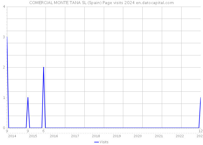 COMERCIAL MONTE TANA SL (Spain) Page visits 2024 