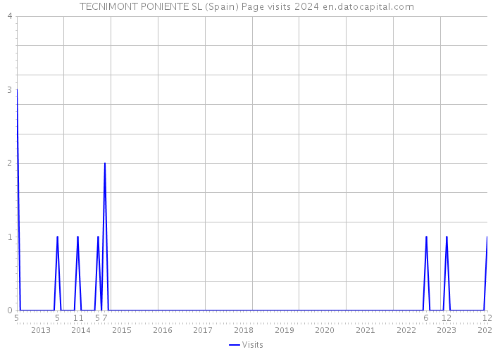 TECNIMONT PONIENTE SL (Spain) Page visits 2024 