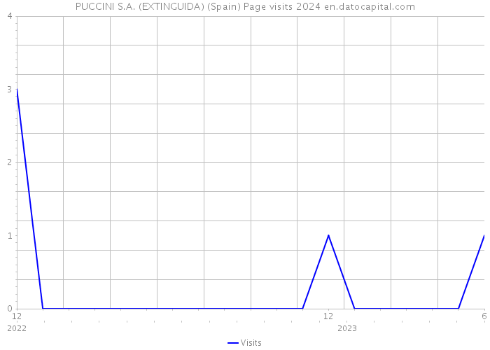 PUCCINI S.A. (EXTINGUIDA) (Spain) Page visits 2024 