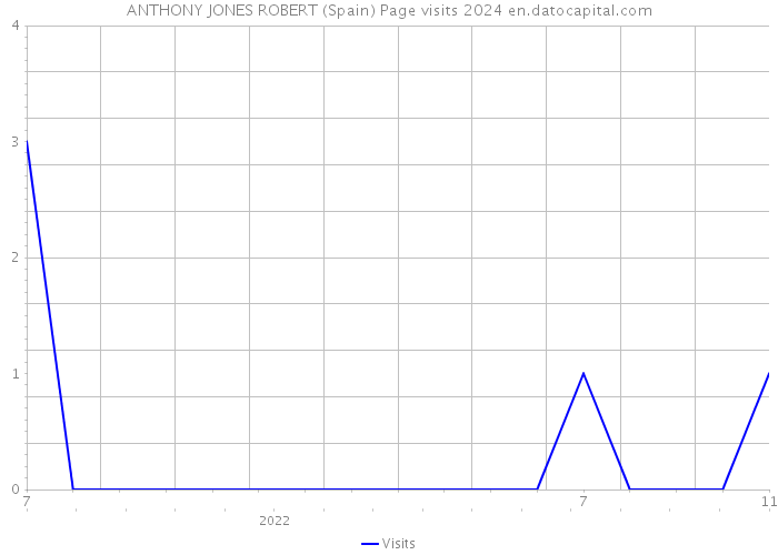 ANTHONY JONES ROBERT (Spain) Page visits 2024 