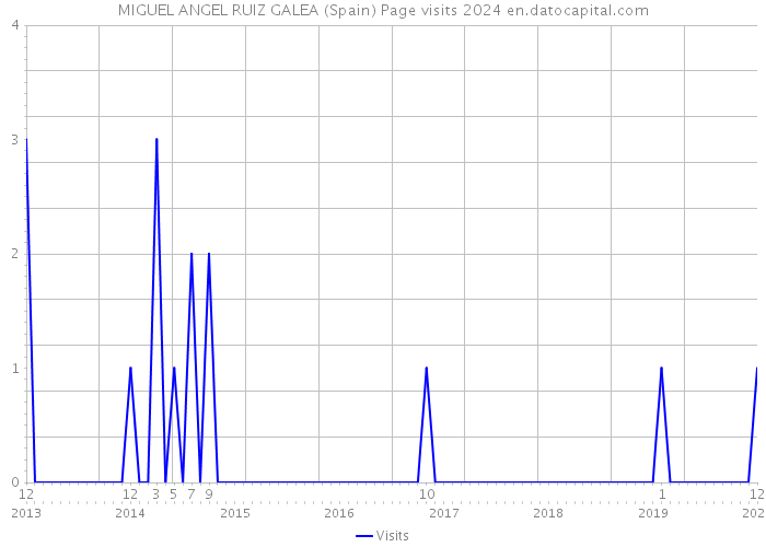MIGUEL ANGEL RUIZ GALEA (Spain) Page visits 2024 