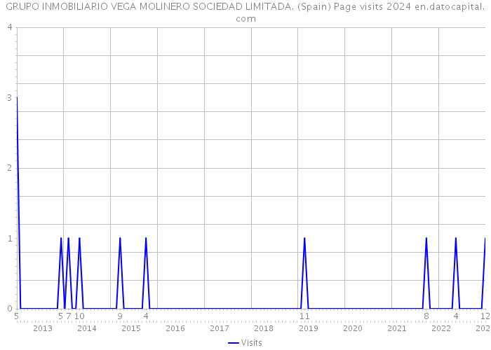 GRUPO INMOBILIARIO VEGA MOLINERO SOCIEDAD LIMITADA. (Spain) Page visits 2024 