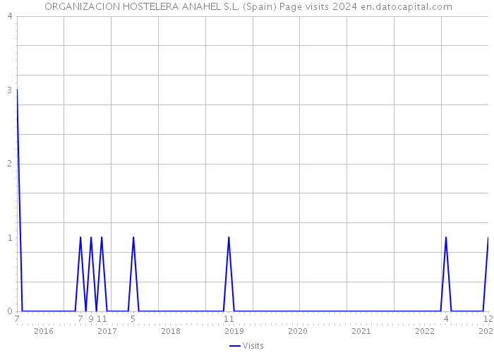  ORGANIZACION HOSTELERA ANAHEL S.L. (Spain) Page visits 2024 