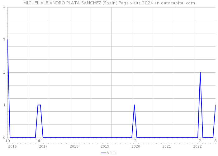 MIGUEL ALEJANDRO PLATA SANCHEZ (Spain) Page visits 2024 