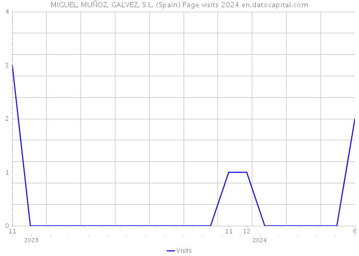 MIGUEL, MUÑOZ, GALVEZ, S.L. (Spain) Page visits 2024 