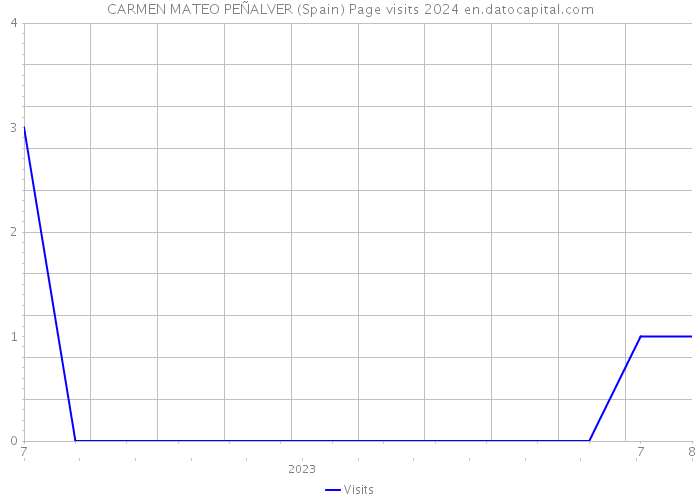 CARMEN MATEO PEÑALVER (Spain) Page visits 2024 