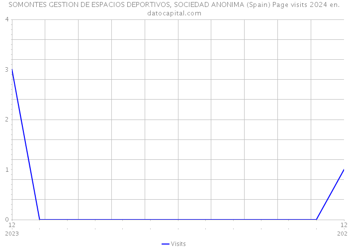 SOMONTES GESTION DE ESPACIOS DEPORTIVOS, SOCIEDAD ANONIMA (Spain) Page visits 2024 