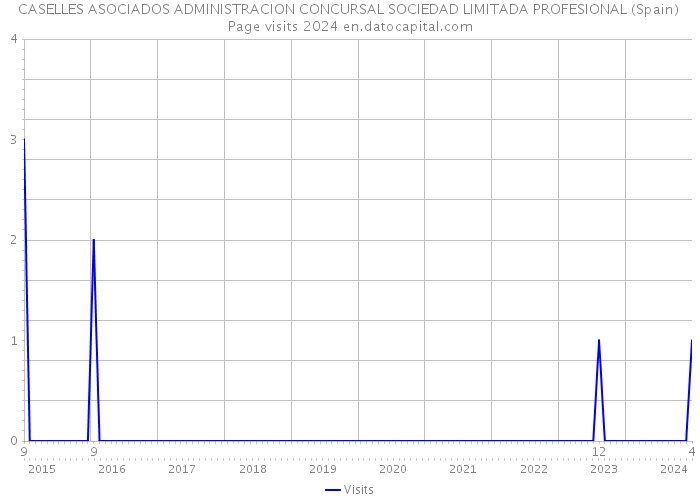 CASELLES ASOCIADOS ADMINISTRACION CONCURSAL SOCIEDAD LIMITADA PROFESIONAL (Spain) Page visits 2024 