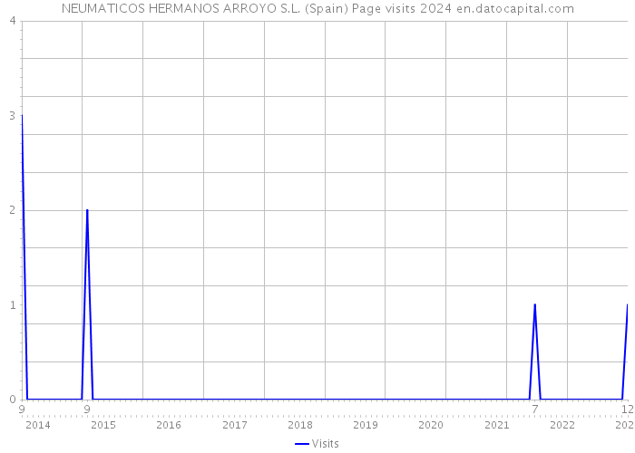 NEUMATICOS HERMANOS ARROYO S.L. (Spain) Page visits 2024 