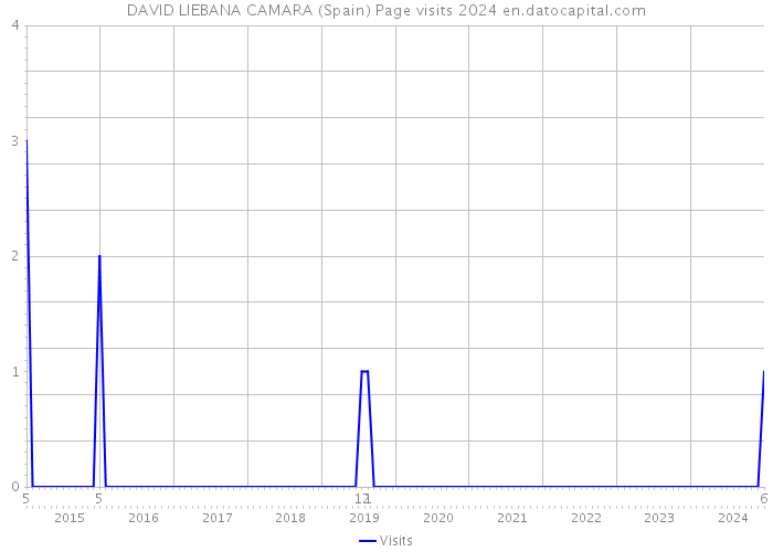 DAVID LIEBANA CAMARA (Spain) Page visits 2024 