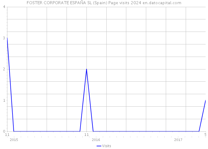 FOSTER CORPORATE ESPAÑA SL (Spain) Page visits 2024 