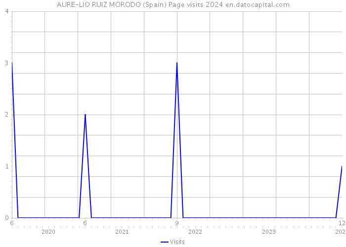 AURE-LIO RUIZ MORODO (Spain) Page visits 2024 