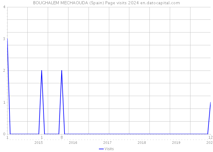 BOUGHALEM MECHAOUDA (Spain) Page visits 2024 