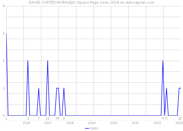 DAVID CORTES MORALEJO (Spain) Page visits 2024 