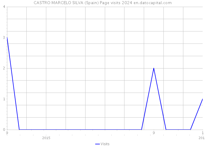 CASTRO MARCELO SILVA (Spain) Page visits 2024 