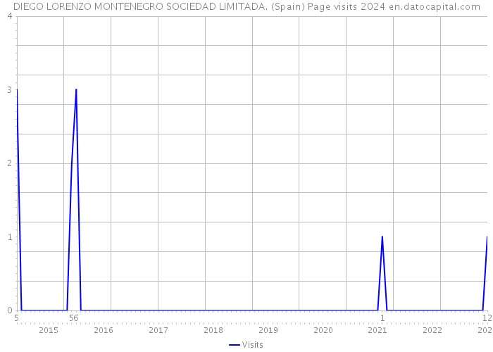 DIEGO LORENZO MONTENEGRO SOCIEDAD LIMITADA. (Spain) Page visits 2024 